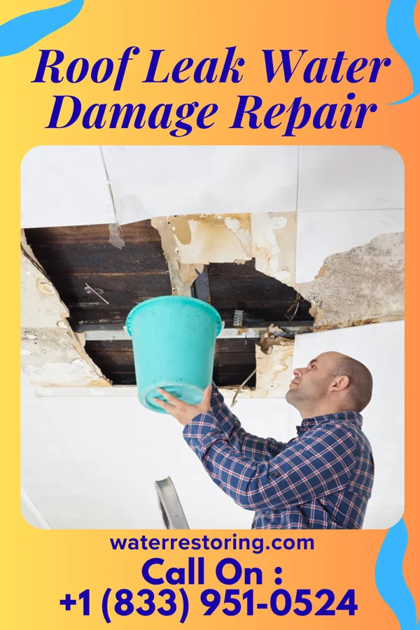 Roof Leak Water Damage Repair in Suncoast Estates, FL
