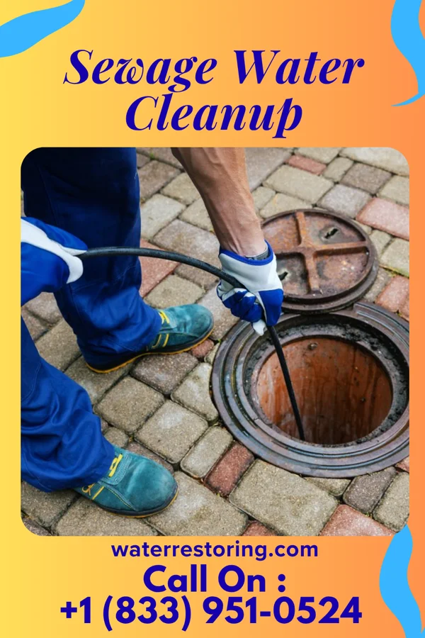 Sewage Water Cleanup in Suncoast Estates, FL